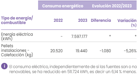 Evolución de consumo por tipo de energía y combustible no renovable