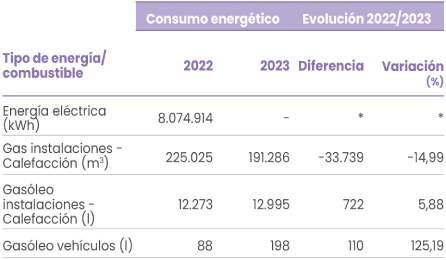 Evolución de consumo por tipo de energía y combustible no renovable