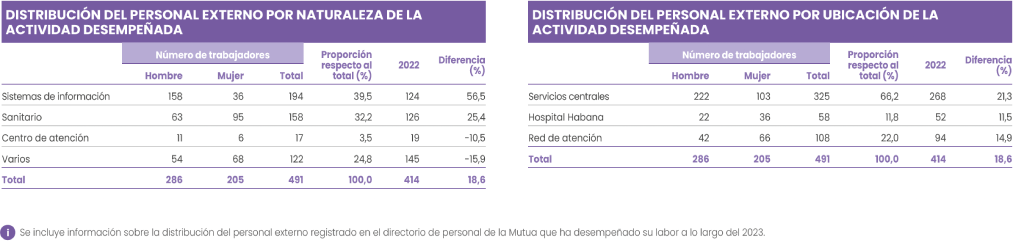 DISTRIBUCIÓN DEL PERSONAL EXTERNO POR NATURALEZA DE LA
                        ACTIVIDAD DESEMPEÑADA