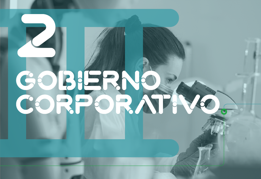 Gobierno Corporativo