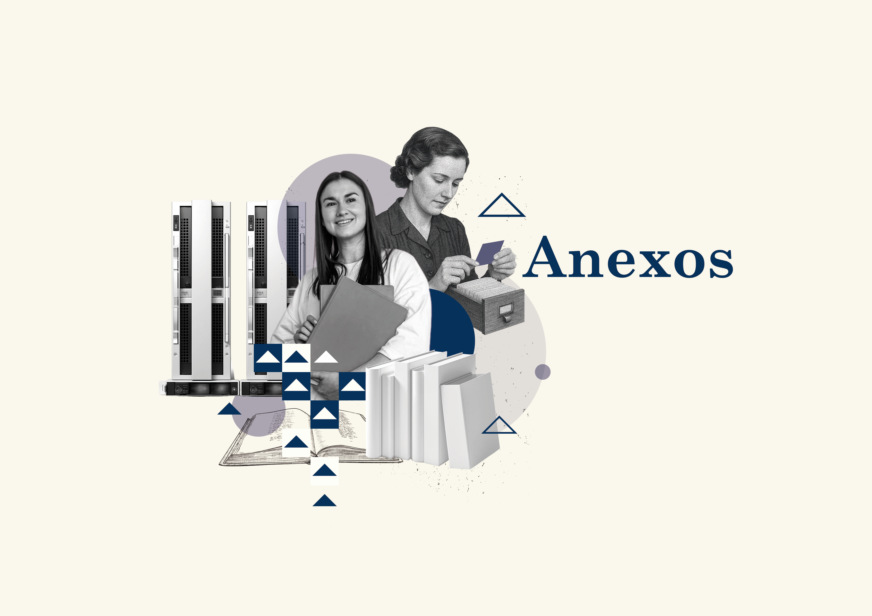 Anexos