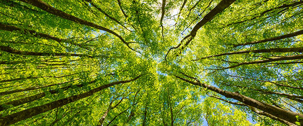 Inform@ 2.0 InForM@ 2.0