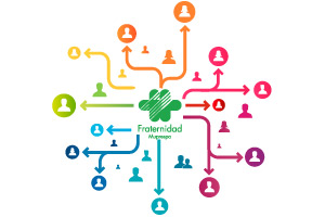 Sección Organizativa Ley Transparencia