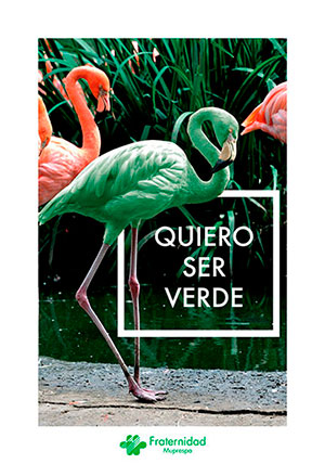 cartell flamenc