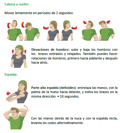ejercicios cuello y cabeza