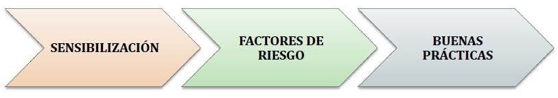 programa tipo taller seguridad vial