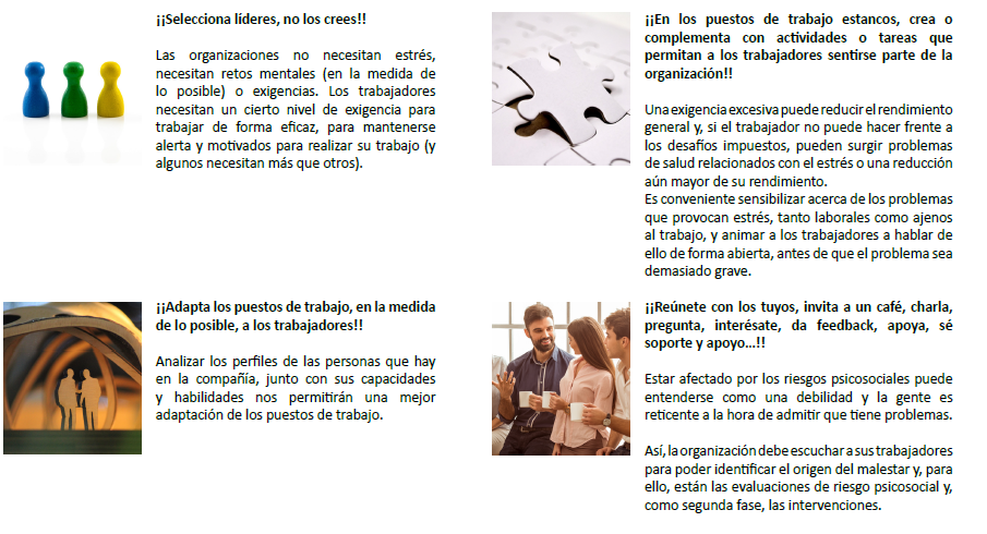 gestion desde la organizacion