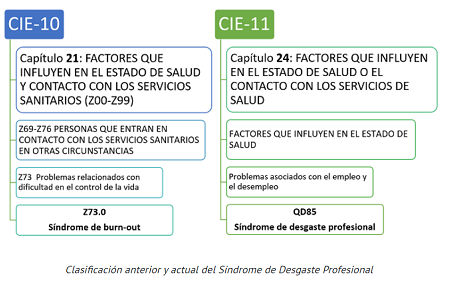 imagen clasificación profesional