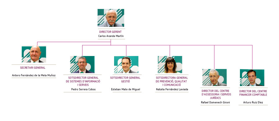 Organigrama Catalá
