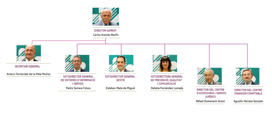 Organigrama Catalá