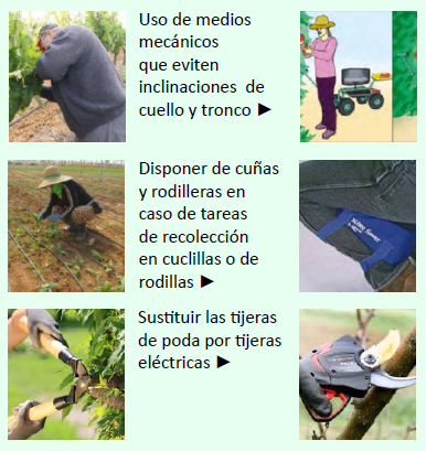 sector agrícola