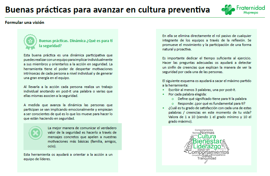 vision directiva