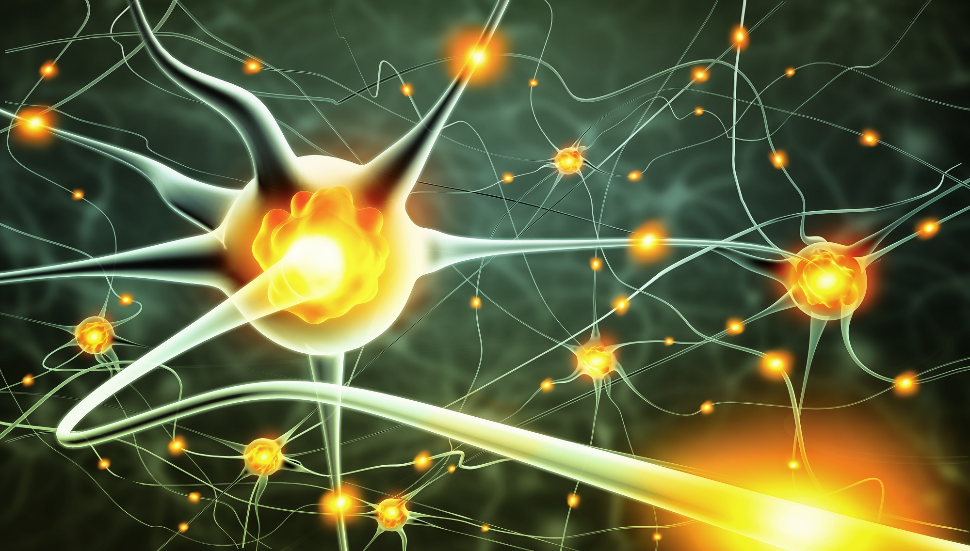 LESIONES MEDULARES
