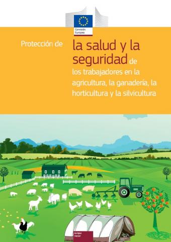 Guía Comisión Europea