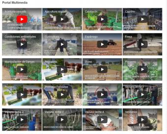 Videos portal multimedia 