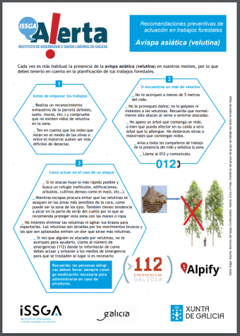 La avispa asiática en los trabajos al aire libre