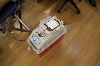 Equipo que prepara y guarda la sangre extraída