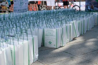 Bolsas que se entregaron a los participantes