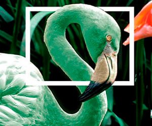 InForM@ 2.0 - Octubre 2020 – Quiero ser verde