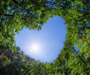 inForM@ - número 12 – Junio 2021