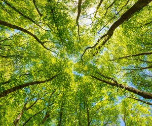 inForM@ - número 8 – Febrero 2021