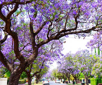 inForM@ - número 21 – Marzo 2022