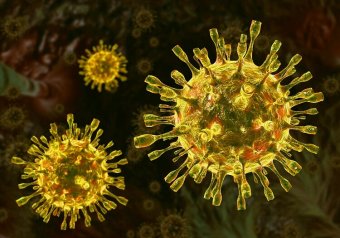 Coronavirus