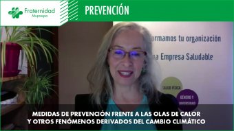 Webinar 17 de junio