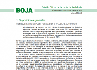 recorte boja