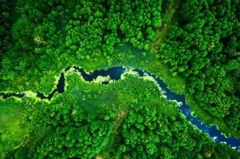 Día Mundial del Medioambiente