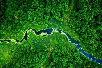 Fraternidad-Muprespa celebra el Día Mundial Del Medioambiente