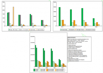 gráficos informe siniestralidad