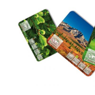 FRATERNIDAD MUPRESPA PARTICIPA EN EL 2011 AÑO INTERNACIONAL DE LOS BOSQUES