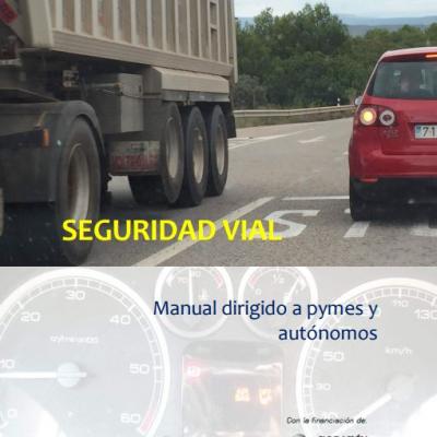 Seguridad vial