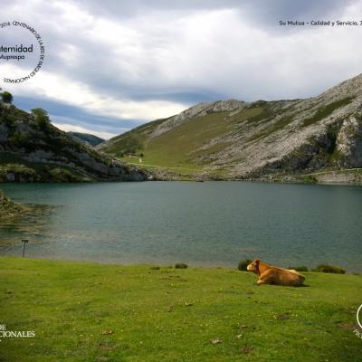 Fondos Parques Nacionales