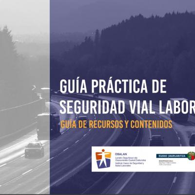 Guía práctica de seguridad vial laboral