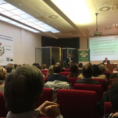 Desarrollo de la ponencia