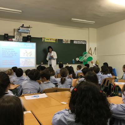 Habitos saludables -Colegio Amor de Dios de Alcorcón y Fraternidad-Muprespa