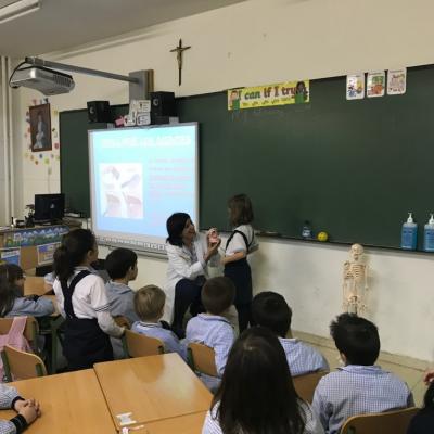 Habitos saludables -Colegio Amor de Dios de Alcorcón y Fraternidad-Muprespa