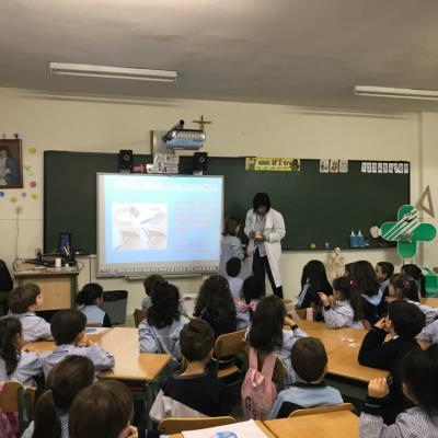 Habitos saludables -Colegio Amor de Dios de Alcorcón y Fraternidad-Muprespa