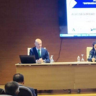 Jornada Almazaras