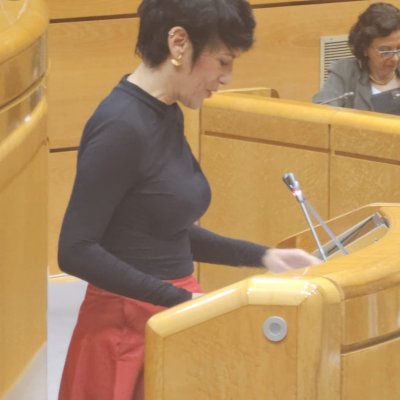 A ministra Elma Saiz pechou o acto solemne