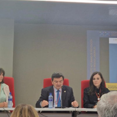 Natalia Fdez. Laviada en la mesa en la que participó en el Congreso de aniversario