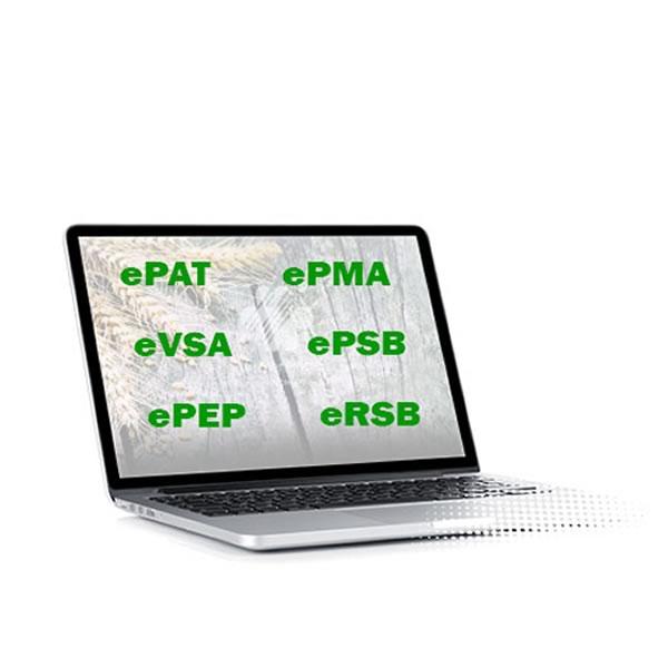 Bloque E-servicios
