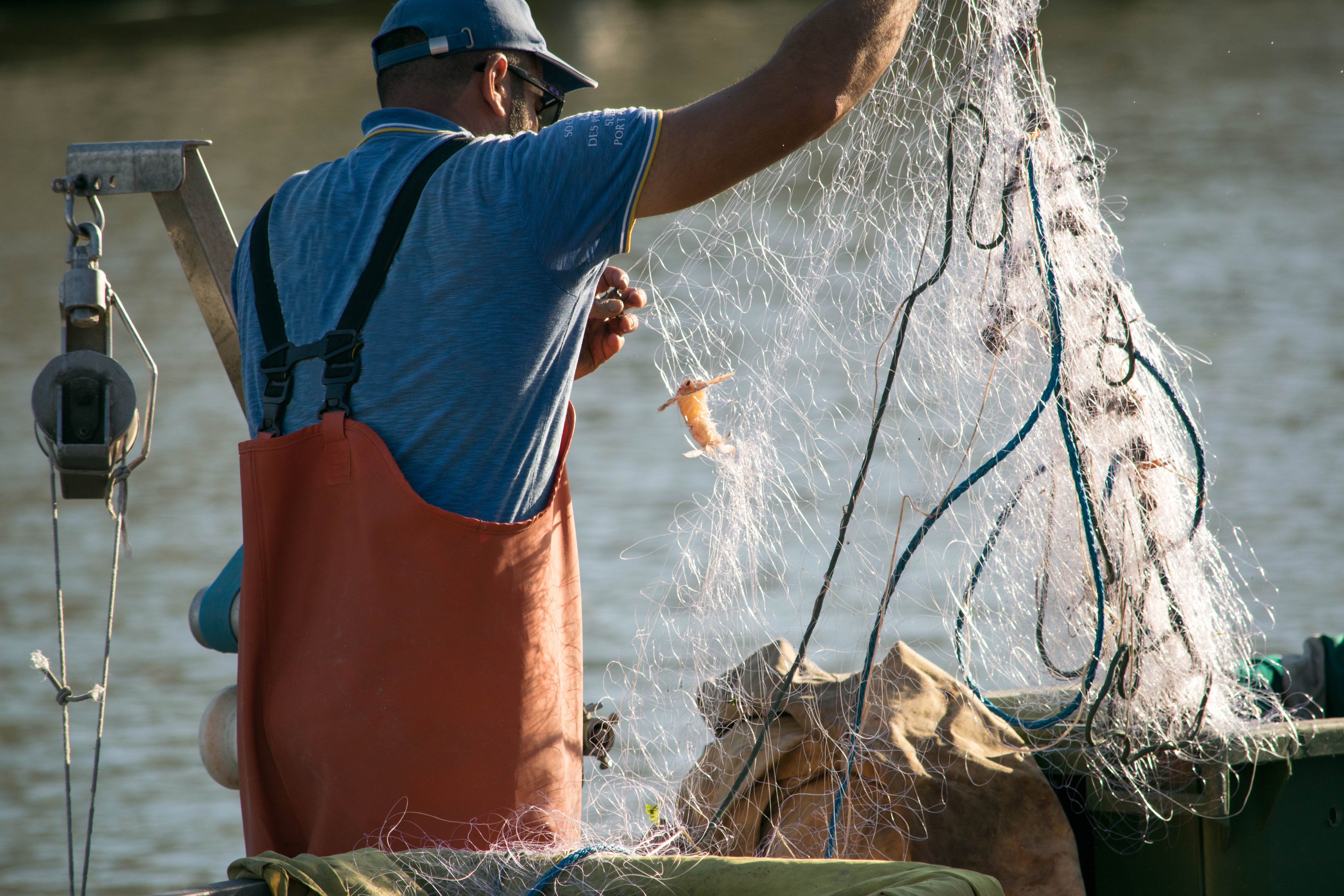 Casi 21 millones para el fomento de una pesca sostenible y a la comercialización de productos pesqueros. Plazo hasta el 31/01/2018