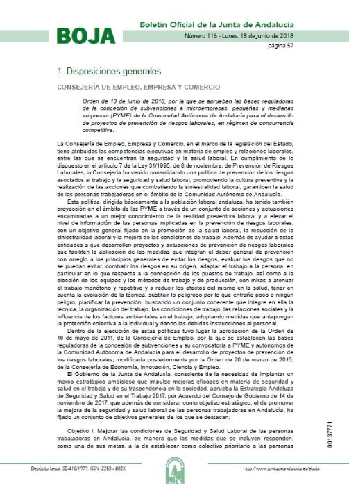  subvenciones a microempresas, pequeñas y medianas empresas