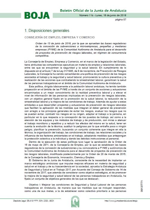  subvenciones a microempresas, pequeñas y medianas empresas