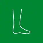 Gráfico: Contorno blanco de una pierna y un pie sobre fondo verde.