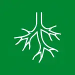 Gráfico de raíces blancas sobre fondo verde.