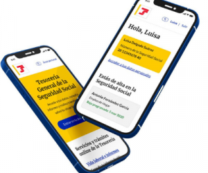 IMPORTASS Sede electrónica (SEDESS)